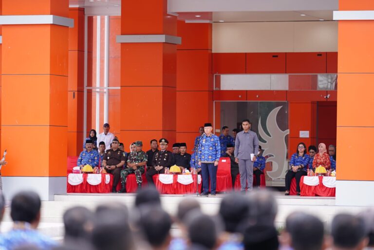 WhatsApp Image 2025-11-10 at 17.50.15